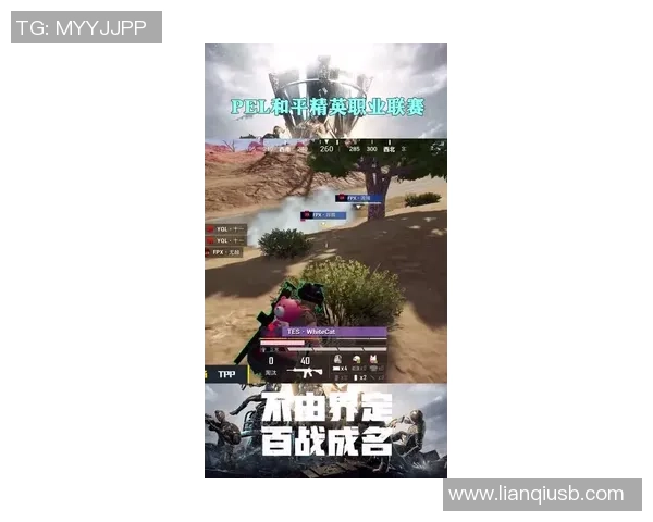 和平精英战队TES的荣耀之路与突破历程全景纪实