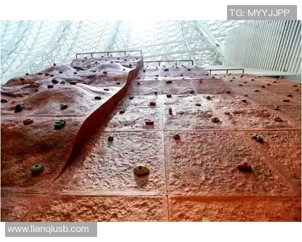 西安攀岩队的节奏变化与竞技表现分析及反思 西安攀岩队的节奏变化与竞技表现分析及反思